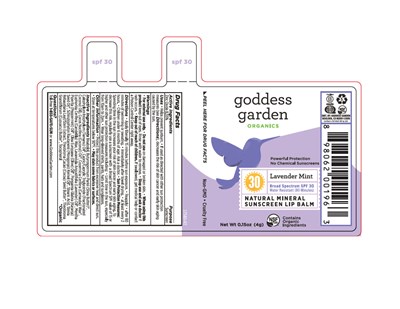 Lavender Mint (Lavender Mint 14580 1)